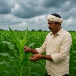 5 Smart Tips to Boost Your Kharif Crop Yield This Season